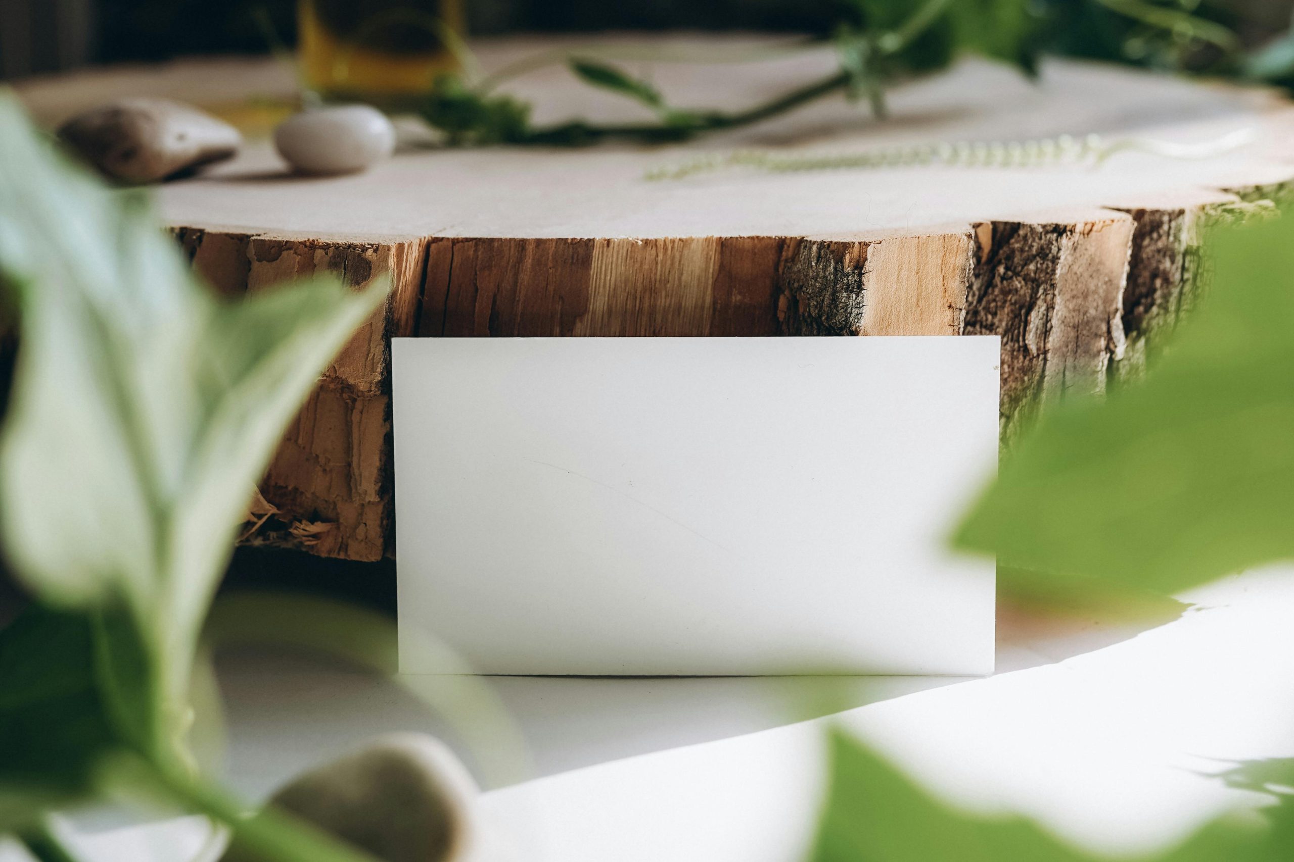 Green marketing: strategies for sustainable brands