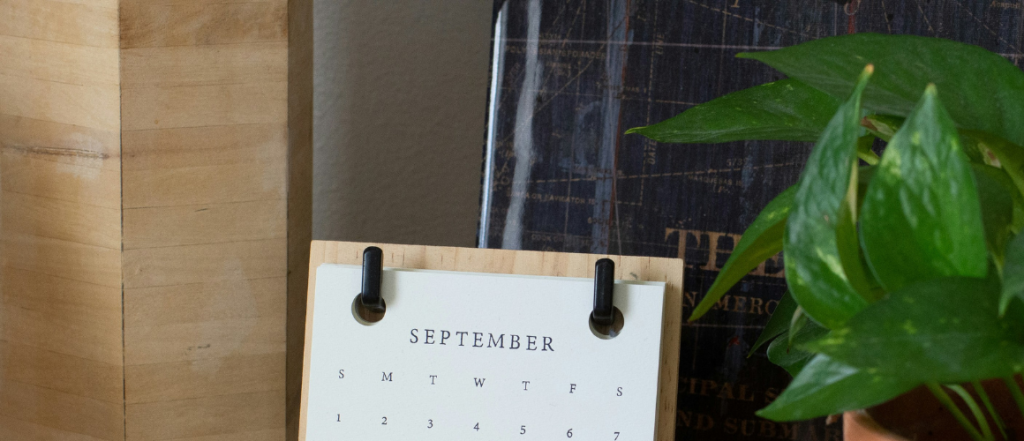 Employer branding in the summer: how to make the most of the season to strengthen your employer brand